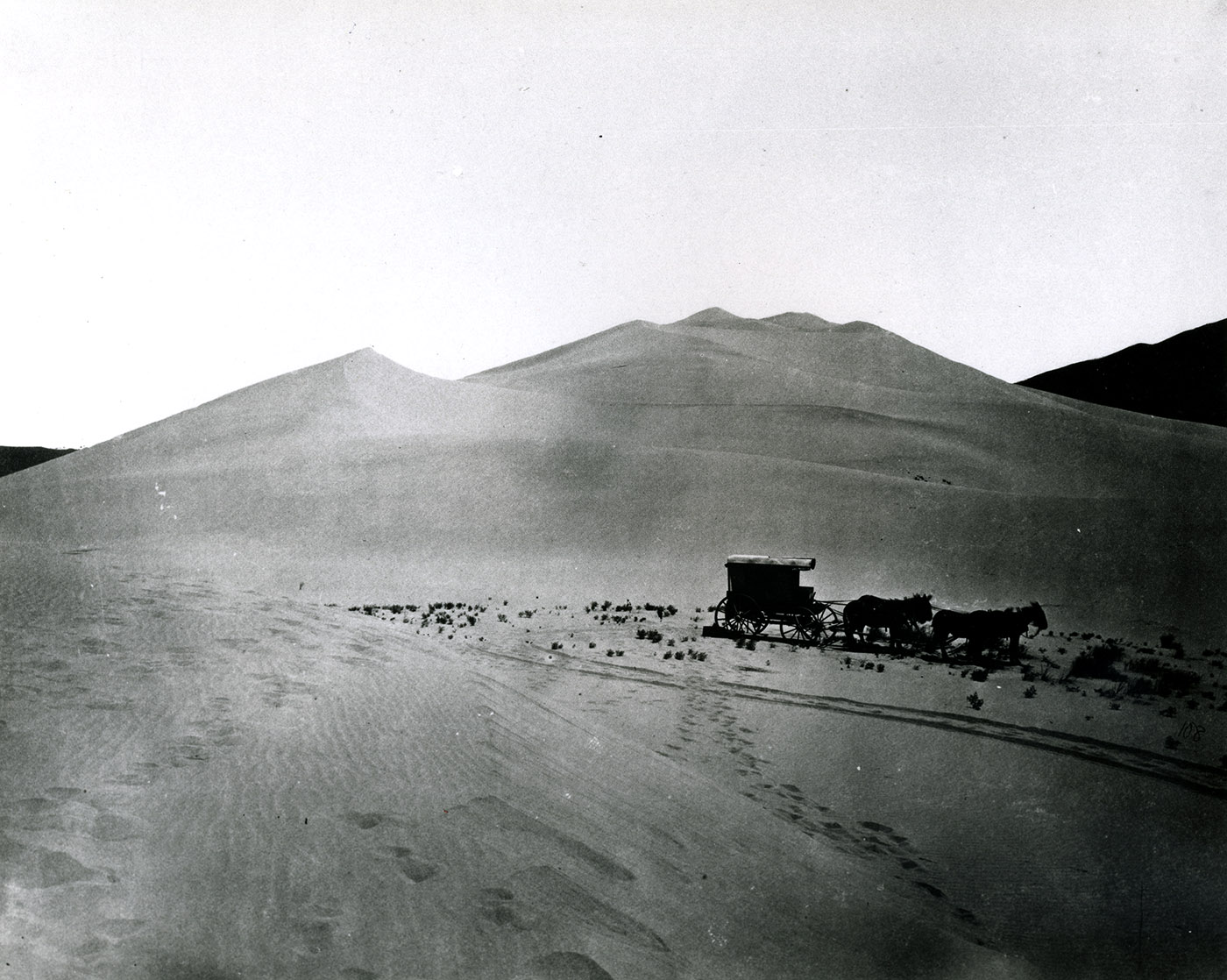 photo of horsedrawn wagon on sand dunes